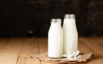 Behind the Dairy — Milk might Not be as Good as we all Think